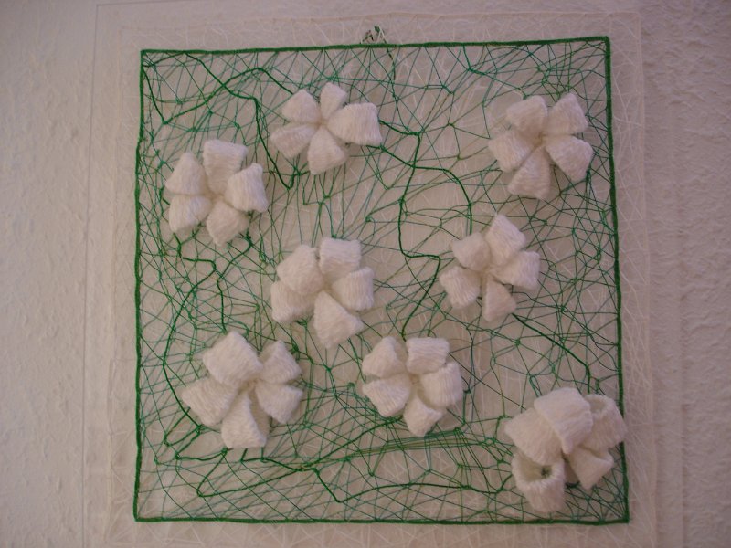 fleurs de coton
